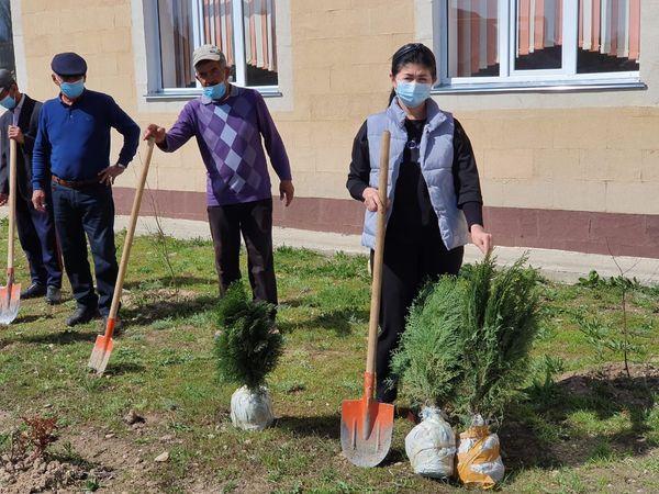 Қамқоршылық кеңесінің демеушілігімен 10 түп арша ағашы отырғызылды.